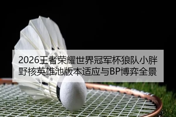 wang-zhe-rong-yao-shi-jie-guan-jun-bei-lang-dui-xiao-pang-ye-he-ying-xiong-chi-ban-ben-shi-ying-yu-bo-yi-quan-jing-2-801.jpg
